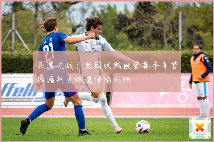 美澳之战主裁因收贿被禁赛半年曾因漏判点球遭停哨处理